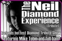 The Neil Diamond Experience