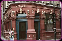 Molloys