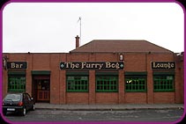 The Furry Bog